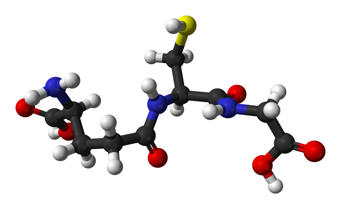 glutatione_antiossidanti_corpo_naturale